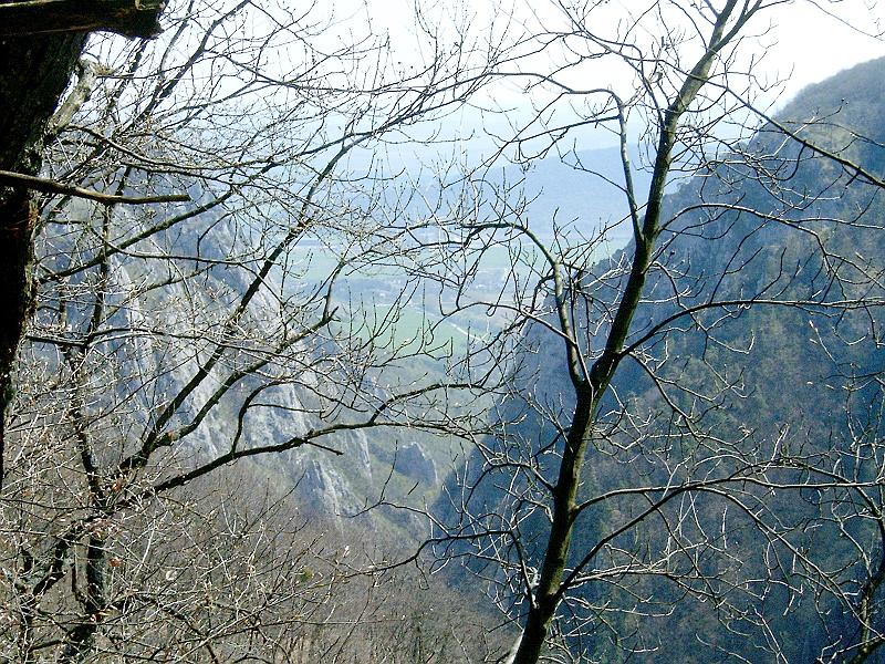 20100417 050.jpg